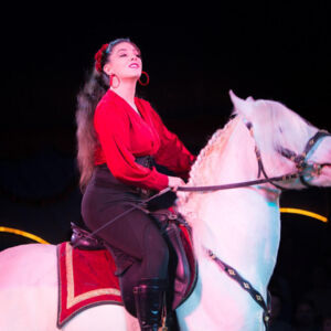 FREISTADT. 3x2 Karten für den Circus Althoff ab 29. August in Freistadt zu gewinnen.