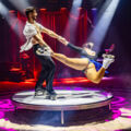 FREISTADT. 10x2 Karten für den Circus Frankello vom 28. August bis 7. September am ÖTB-Gelände zu gewinnen.