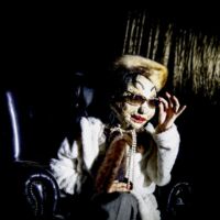 STEYR. 2x2 Karten für das Figurentheater „Die Gesichter der Hedy Lamarr“, 8. Oktober, Altes Theater