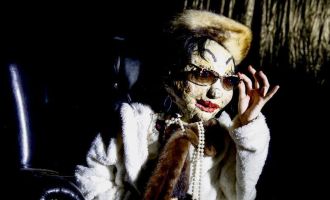 STEYR. 2x2 Karten für das Figurentheater „Die Gesichter der Hedy Lamarr“, 8. Oktober, Altes Theater