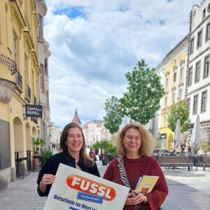 WELS. 1x100 Euro-Warengutschein der Fussl Modestraße