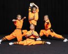 LINZ. 3x2 Freikarten für die Mönche des Shaolin Kung Fu im Brucknerhaus.