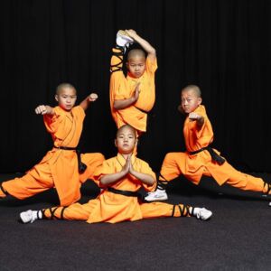LINZ. 3x2 Freikarten für die Mönche des Shaolin Kung Fu im Brucknerhaus.