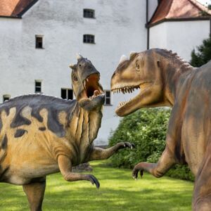 KIRCHDORF/INN. 3 x 2 Freikarten für das Dinoland auf Schloss Katzenberg