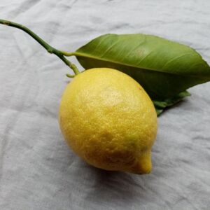 HIRSCHBACH. 1x Kursplatz für Workshop „Selbstgemachte Haushaltsmittel“ am 18. Oktober am Biohof Abraham gewinnen.