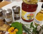 HIRSCHBACH. 1x Kursplatz zum „Oxymel“-Workshop am 11. Juni am Biohof Abraham gewinnen. 