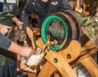 TRAGWEIN. 5x2 Karten für das Oktoberfest am 3. Oktober in der Norbert Eder Halle gewinnen. 