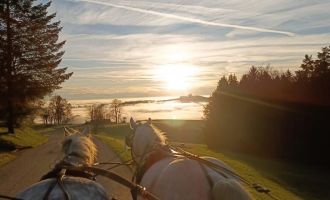 MÖNCHDORF. Lumi’s Alm feiert Geburtstag. Kutschenfahrt zu gewinnen