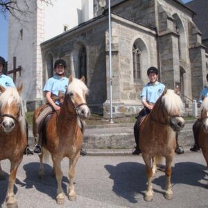BAD LEONFELDEN. 3x2 Karten, Jubiläumsfest, 30 Jahre Reit- und Fahrverein Bad Leonfelden