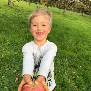 NUßBACH. 2x1 Getränkepaket der Familie Höllhuber, abzuholen bis 17. April, Tips Kirchdorf, Simon-Redtenbacher-Platz 9