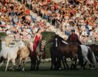 LEONSTEIN. 2x1 Zuschauerticket für Reitseminar mit Kenzie Dysli im RSZ Leonstein, 26. & 27. September
