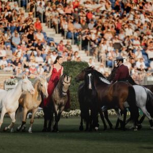 LEONSTEIN. 2x1 Zuschauerticket für Reitseminar mit Kenzie Dysli im RSZ Leonstein, 26. & 27. September