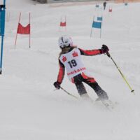 Sparkasse Strudengaucup powered by Tips: Bilder vom Auftaktwochenende am Schorschihang