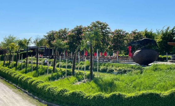 Palmen sorgen am Donaustandl für Urlaubsfeeling