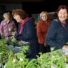 Frische Pflanzerl und herrliche Mehlspeisen beim Pflanzentauschmarkt in Frankenburg/H.