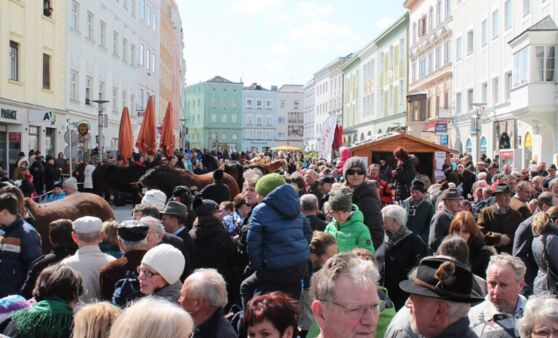 Rieder Pferdemarkt 2015 (Teil 1)