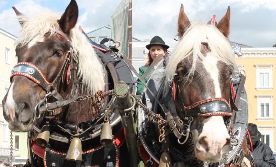 Rieder Pferdemarkt 2016 (1)