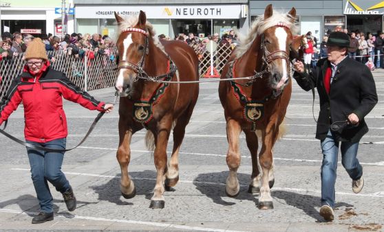 Rieder Pferdemarkt 2016 (Teil 2)