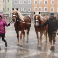 Rieder Pferdemarkt 2017, Teil 3