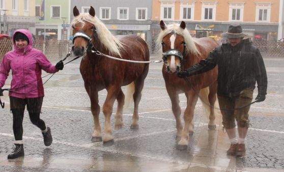Rieder Pferdemarkt 2017, Teil 3