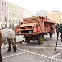 Rieder Pferdemarkt 2017, Teil 2