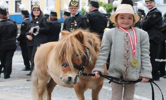 Rieder Pferdemarkt 2019 (Teil 2)