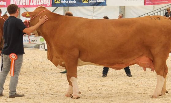 Messeeröffnung und Rundgang (Mi., 4.9.2019) (Teil 2)