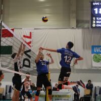 Volleyball-Europacup: UVC Weberzeile Ried - Fino Kaposvar (HUN) 1:3