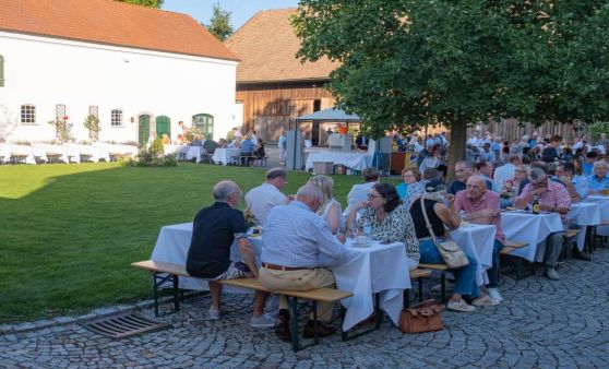 Boogie in the Fields 2022 (1/3)