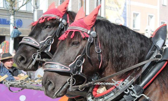 Rieder Pferdemarkt 2024 (Teil 1)