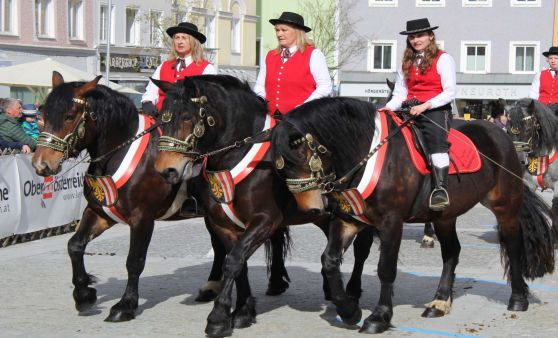 Rieder Pferdemarkt 2024 (Teil 2)