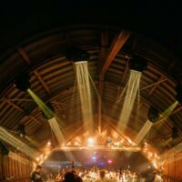 Free Tree Open Air 2024