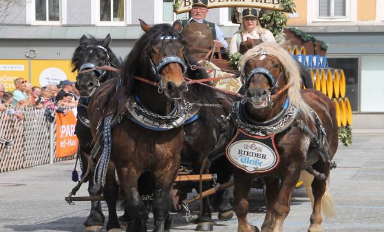 Rieder Pferdemarkt 2025