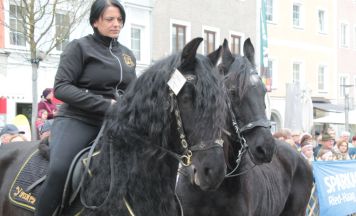 Pferdemarkt Ried im Innkreis, 1. April 2026 (Teil 2)