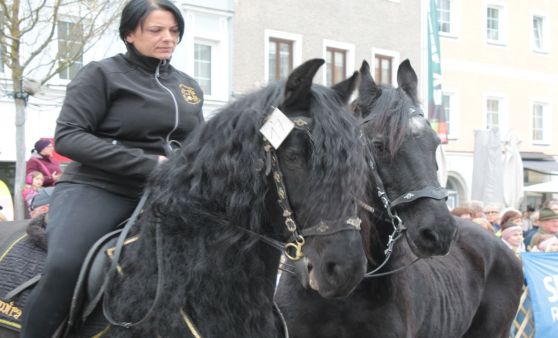 Pferdemarkt Ried im Innkreis, 1. April 2026 (Teil 2)