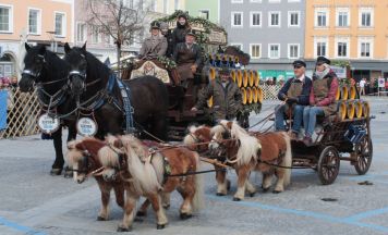 Pferdemarkt Ried im Innkreis, 1. April 2026 (Teil 3)