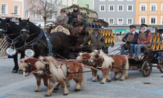 Pferdemarkt Ried im Innkreis, 1. April 2026 (Teil 3)