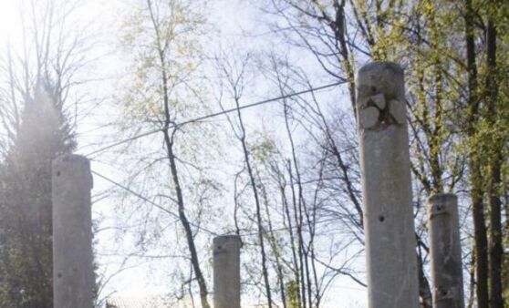 Skulpturenpark eröffnet