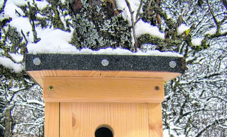 Onj Naturtipp Nistkasten Selber Bauen