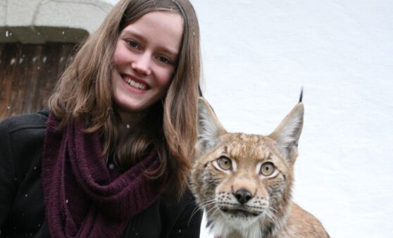 Begegnung mit dem Luchs
