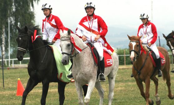 Landesmeisterschaft der Orientierungreiter