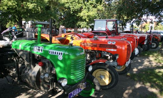 Gelungene Traktorolympiade in Altenfelden