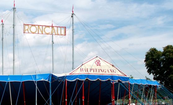 Jubiläumsshow: Circus Roncalli schlägt in Linz auf