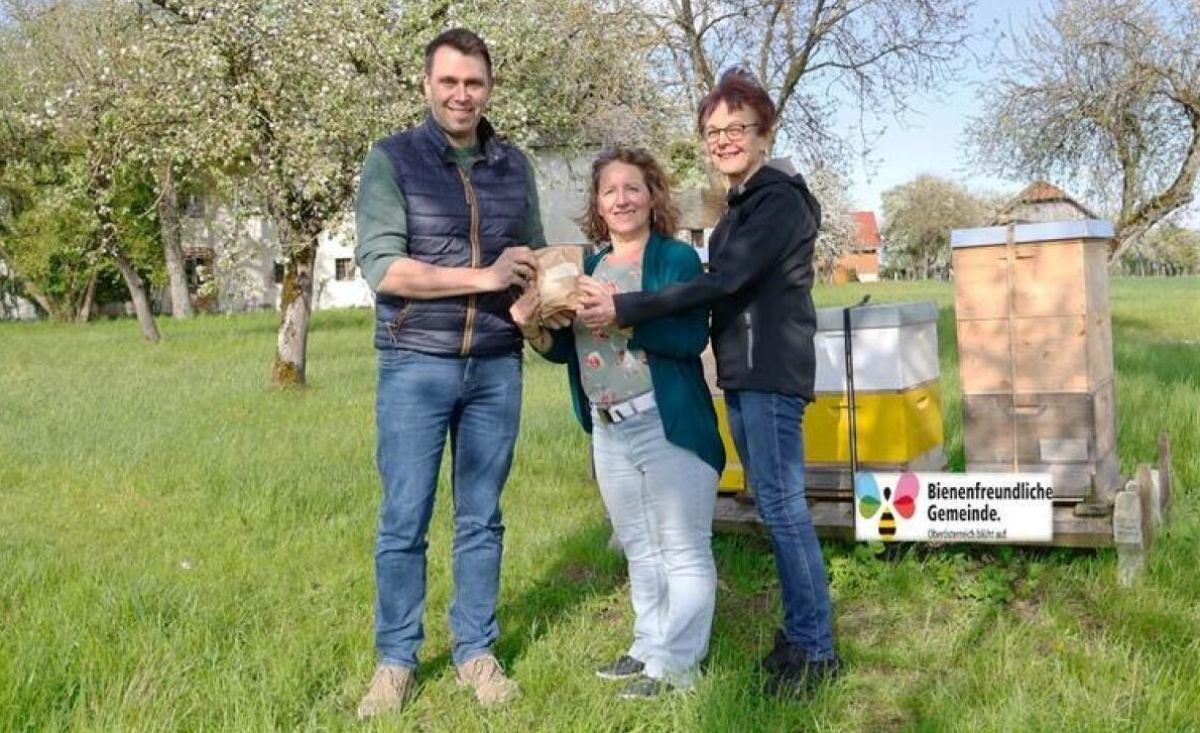knstliche pflanzen balkon uv-bestndig Kunstblumen FloraSun | UV-bestndig & Wetterfest