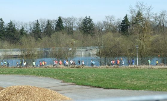 Lambacher Traunuferlauf