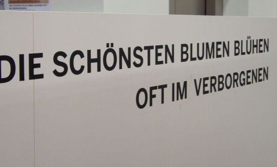 Die schönsten Blumen blühen oft im Verborgenen-Vernissage