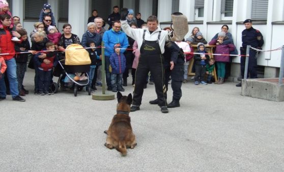 Tag der offenen Tür beim Stadtpolizeikommando Wels