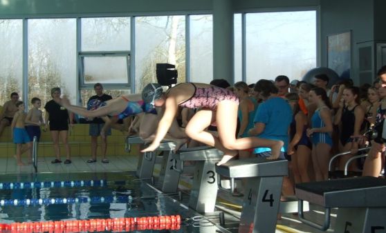Schullandesmeisterschaften Schwimmen