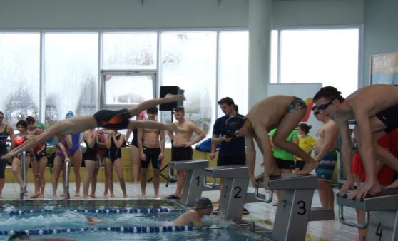 Schul-Landesmeisterschaften im Schwimmen im Welser Welldorado