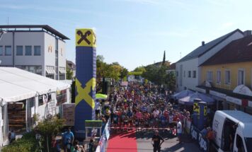 Bild 41